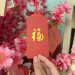 迷你未来星