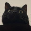 沉默的大多数_jVRq