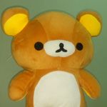 山棕