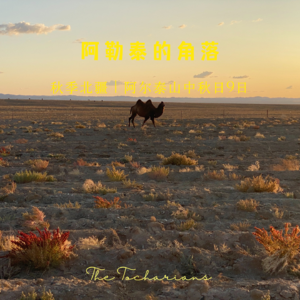 秋季北疆“阿勒泰的角落”怎么玩？