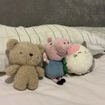 二十岁的小王同学