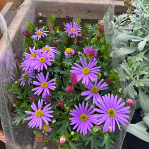 58这个世界我所爱着的那些女性