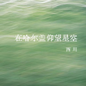vol.364 在哈尔盖仰望星空——西川