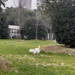 总有一天能上岸