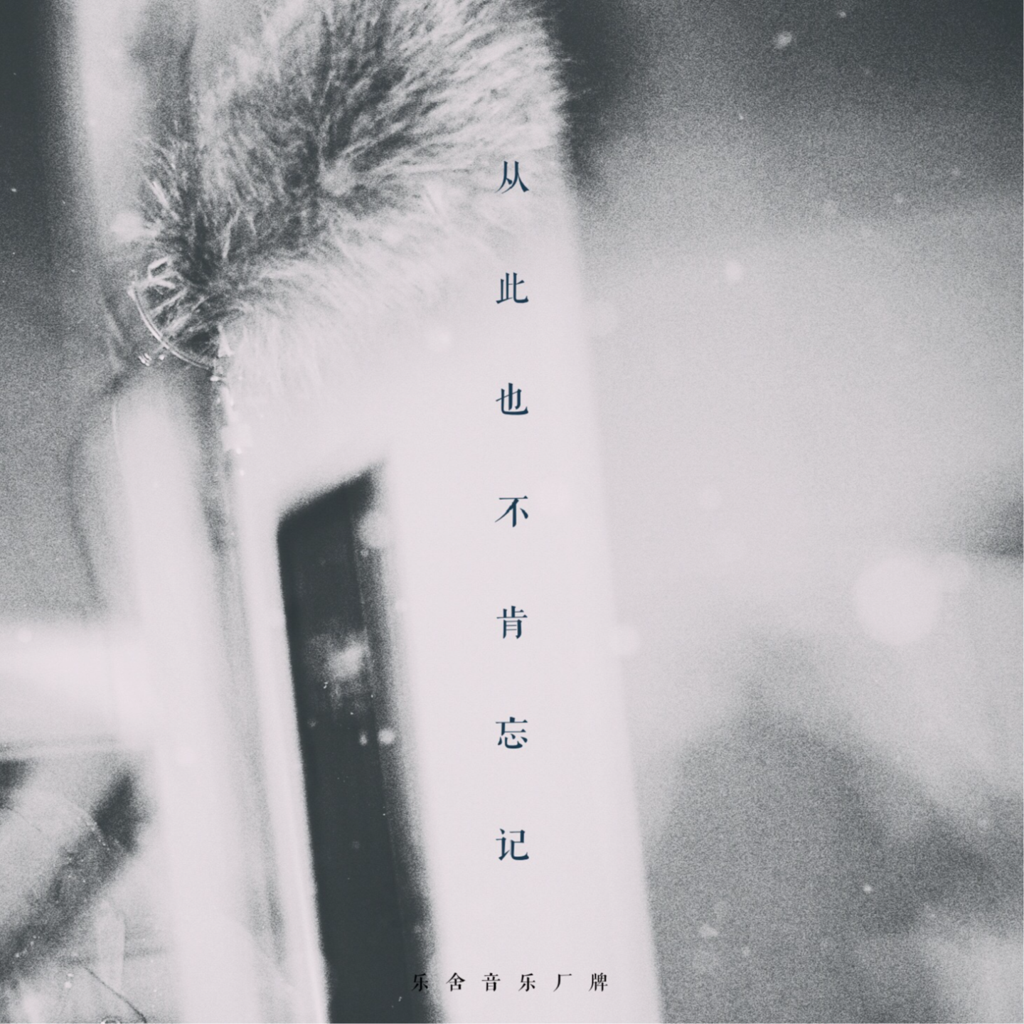 04丨从此也不肯忘记 episode artwork