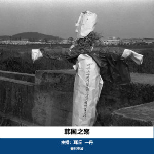 悬疑案件09.韩国之殇｜华城连环杀人案