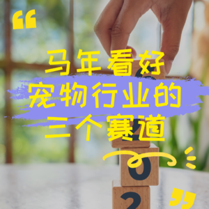 马年持续看好宠物行业的三个赛道