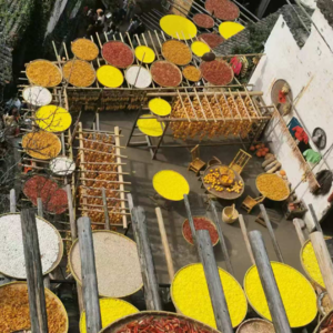 Vol 18. 四季特集：一年好景君须记，最是橙黄橘绿时