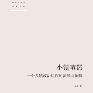 34. 深度解读《小镇喧嚣》考公体制内必读，带你看懂中国乡镇