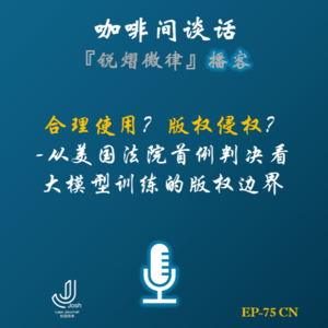 EP75 合理使用还是版权侵权: 从美国法院首例判决看大模型训练的版权边界
