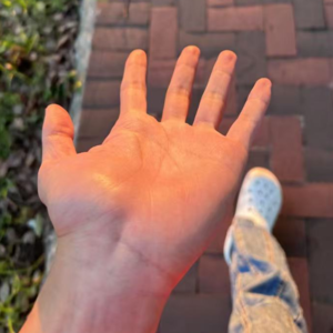 0. INFP梦导救我狗命的当天，我新开了个播客节目