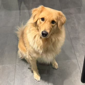 Vol05:牛马假日（下）