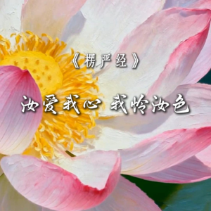 《楞严》汝爱我心,我怜汝色