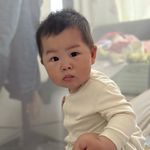 诺兰的天使骑士