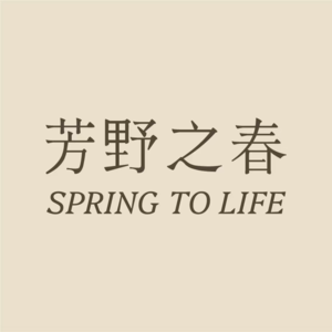 适逢米兰冬奥会|聊聊那些意大利教会我们的事