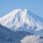 伯牙绝弦不加糖