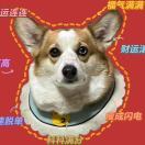 王涂思瑞_I0MS