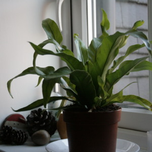 媎妹对谈 | 我们与自己的房间