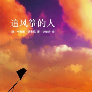 《追风筝的人》：为何一个童年的决定能影响我们的一生？| 书海拾光