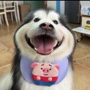 江春入旧年_OmCZ