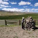 晚睡早起养小猫