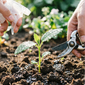 假洋牌“优思益”卖到类目TOP1，品牌虚假种草为何泛滥？4招辨别虚假种草软文！