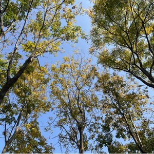 焱_DkBo的个人播客