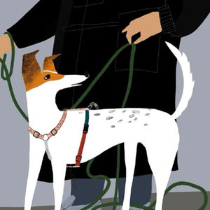 EP11 2024年高考英语作文题目带来的启示