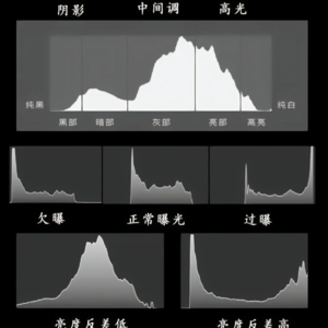 No.219-照片曝光是否合适？5分钟教你真正看懂直方图！