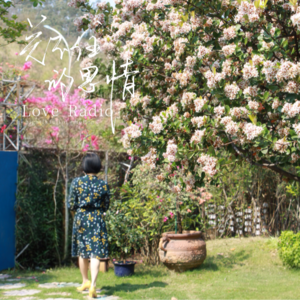 春分--春暖花开