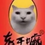 长发男美女厨