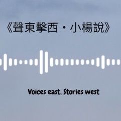 声东击西小杨说