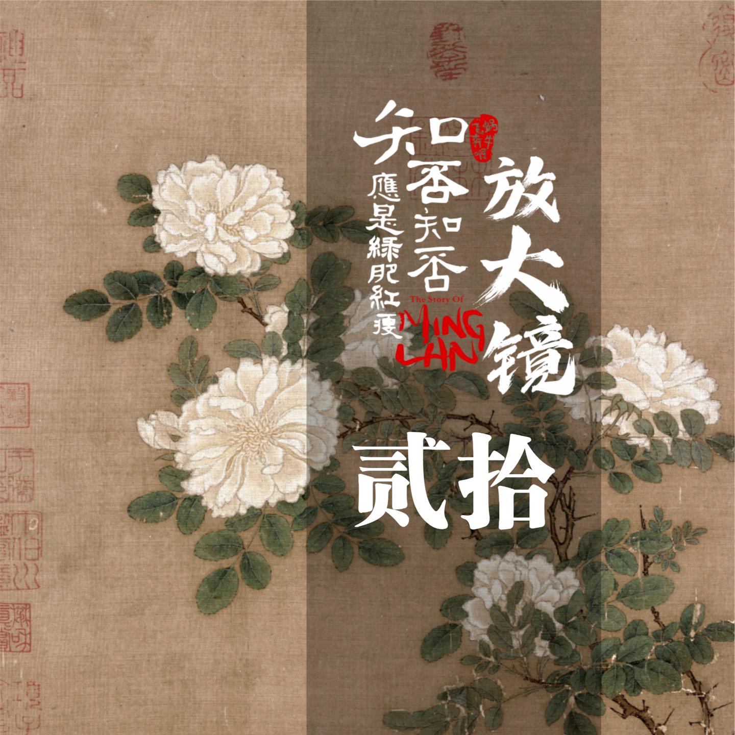 知否放大镜 20：梦想成为枷锁时，欲望在暗暗偷笑 episode artwork