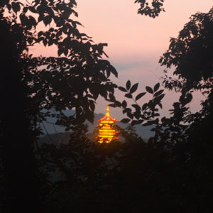 EP01 周末去寺院当义工是种什么感受？