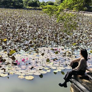 赖赖不是一棵菠菜