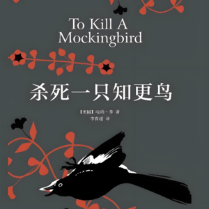 字里行间见天地-杀死一只知更鸟|正义,勇气与人性的光辉