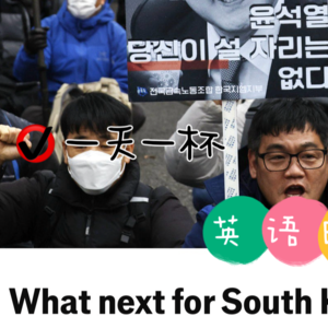 【224】韩国政局未来将往何方