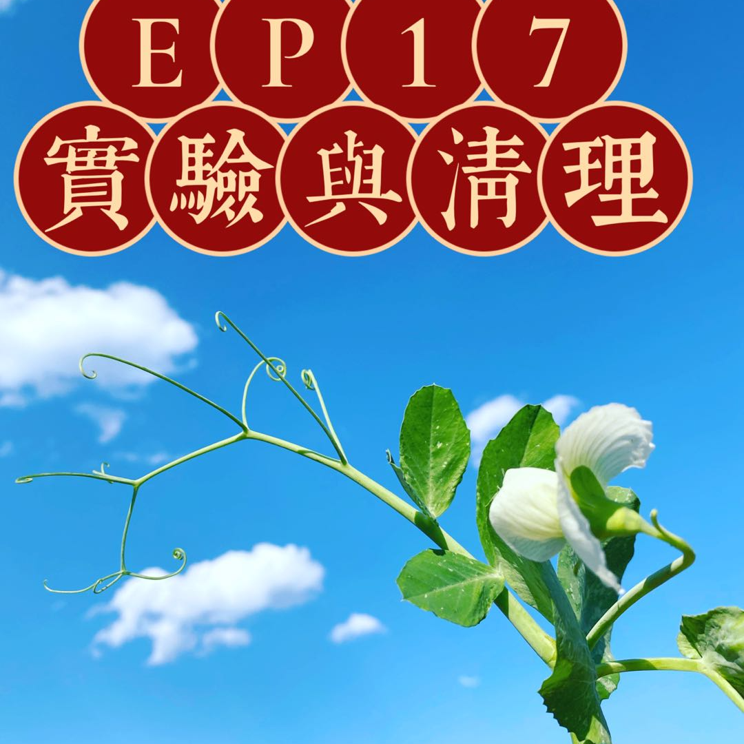 cover of episode EP17-氪金实验|清理工作的恐惧|信念你的直觉力