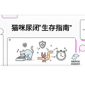 猫尿闭的昆虫解药
