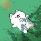 理枳
