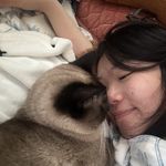 妞妞与汤圆