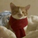 养胃人生从戒糖开始