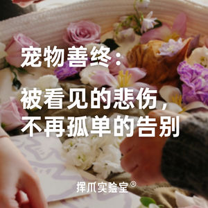 E.10 宠物善终:被看见的悲伤,不再孤单的告别