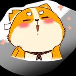 东方之旅