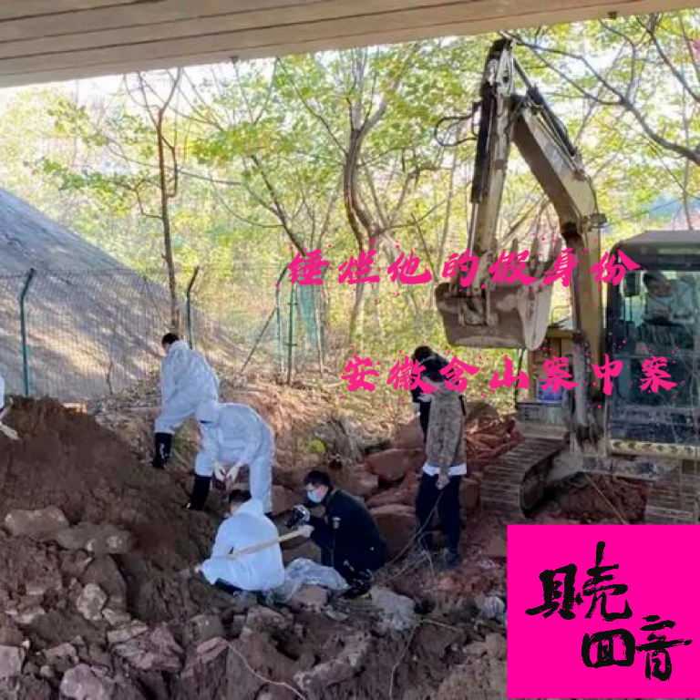 EP19.锤烂他的假身份-安徽含山案中案 episode artwork