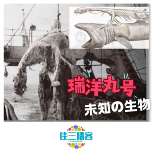 瑞洋丸号海怪事件真相调查
