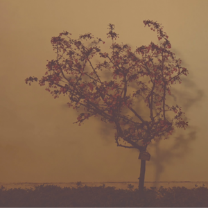 Vol. 002 长歌采薇：颠倒略似兹