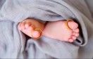 _袁来如此