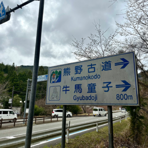 E11 小马过河｜日本也有朝圣之路？聊聊熊野古道徒步体验到底如何