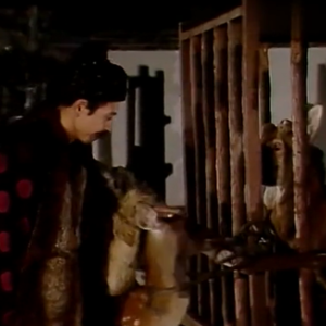 Vol.008（上）贾家想尽一切办法，还是缺钱